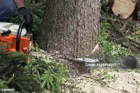 Soil Testing and Treatment in Cottonwood, CA