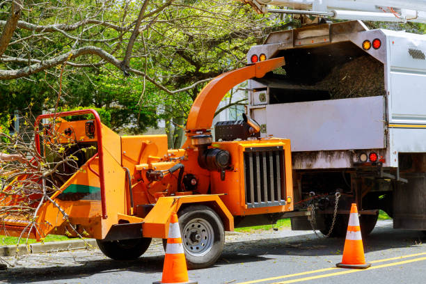 Best Firewood Processing and Delivery  in Cottonwood, CA