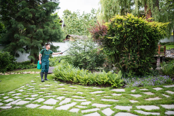 Best Emergency Tree Removal  in Cottonwood, CA